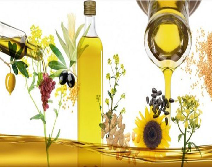 Aceites & Derivados