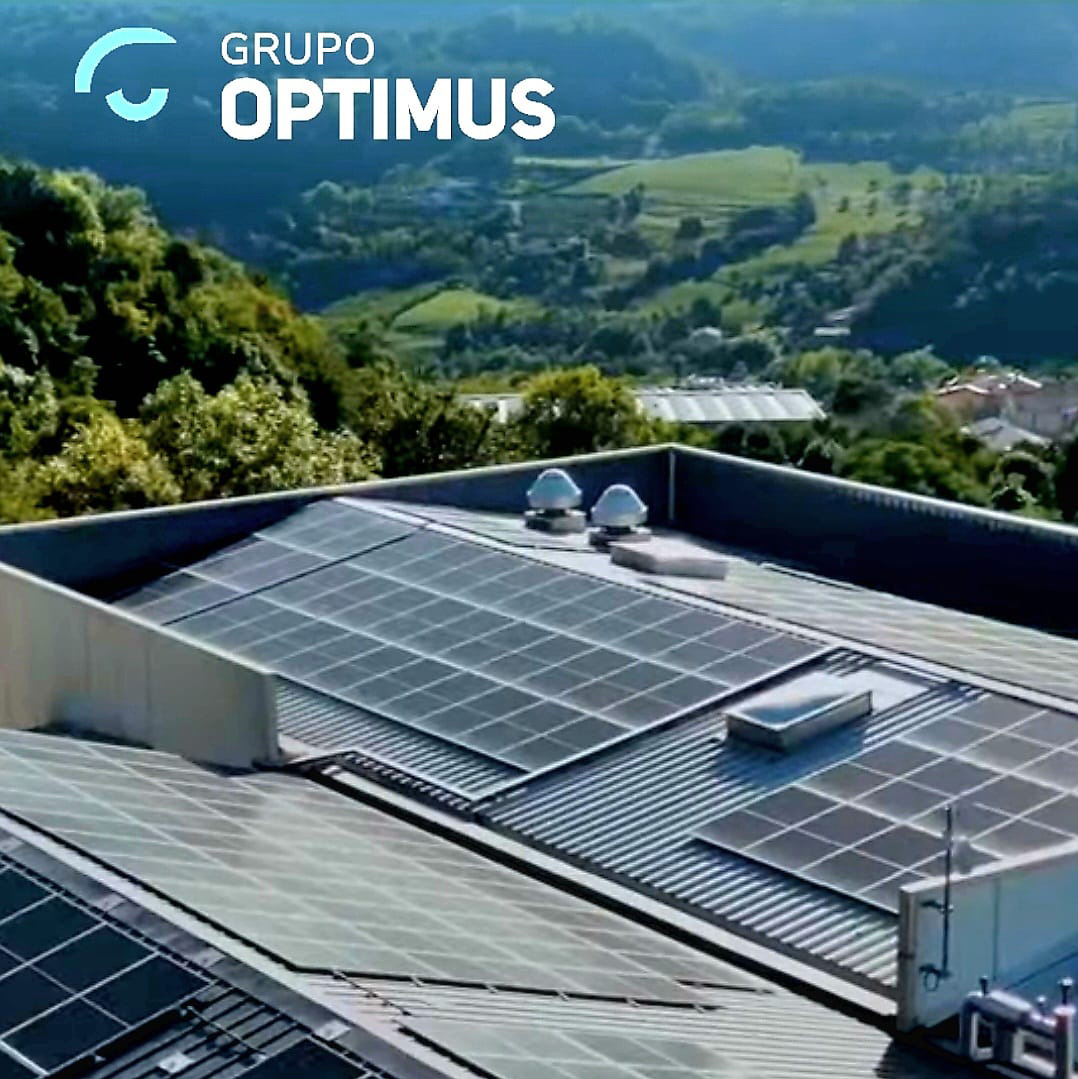 Grupo Optimus