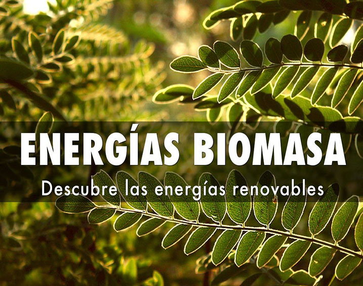Biomasa