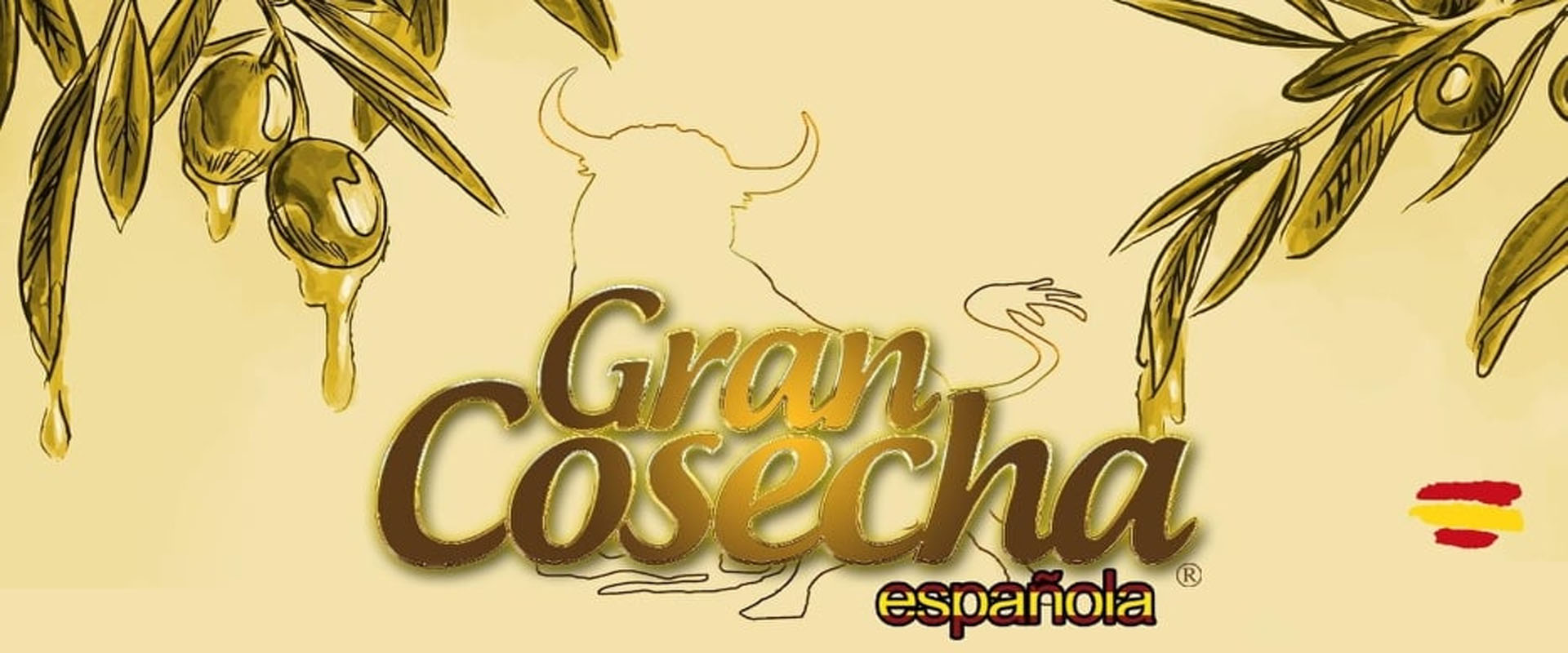 Aceites &amp; Derivados